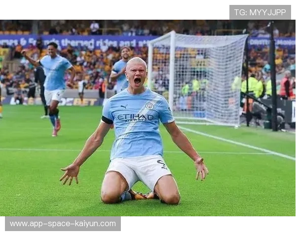 哈兰德纪录片拍摄中展示脆弱一面,引发更广泛共鸣 哈兰德纪录片拍摄中展示脆弱一面,引发更广泛共鸣